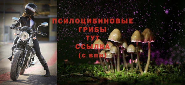 соль ск Сатка