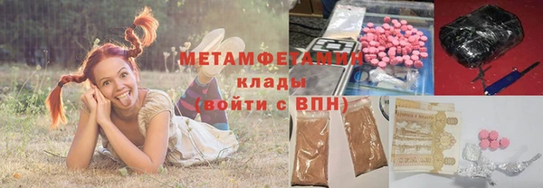 прущие грибы Саяногорск