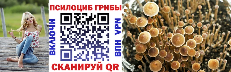 Псилоцибиновые грибы мицелий  где купить наркотик  Зеленодольск 